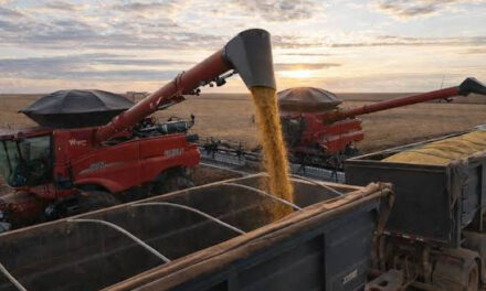 Agronegócio segue impulsionando economia de Mato Grosso com investimentos em infraestrutura e produção