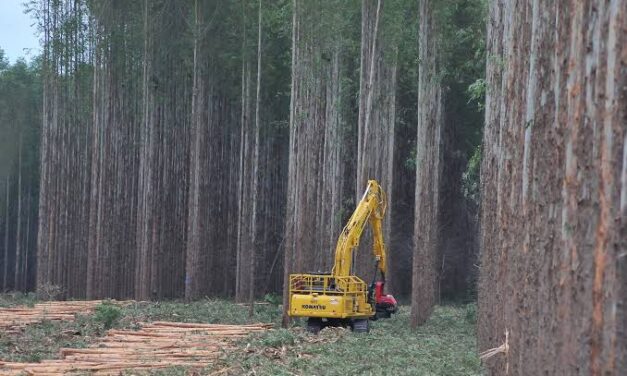 Expansão do PIB reforça liderança econômica de Mato Grosso