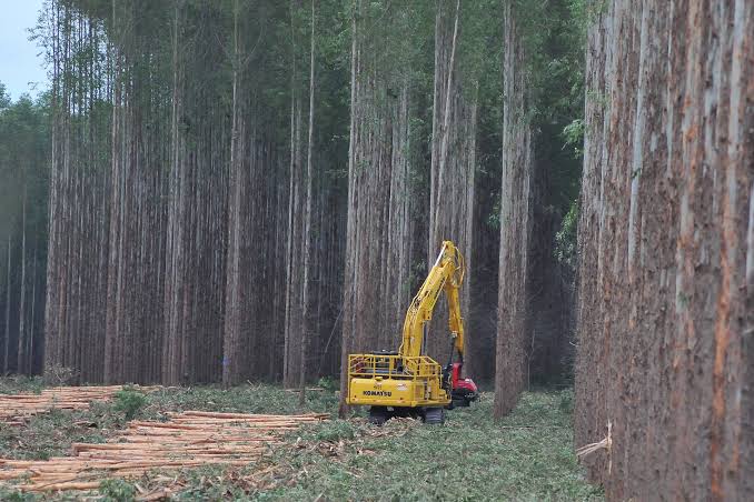 Expansão do PIB reforça liderança econômica de Mato Grosso